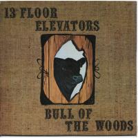 13TH FLOOR ELEVATORS-BULL OF THE WOODS